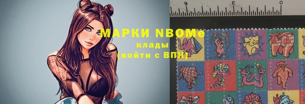 гидропоника Новозыбков