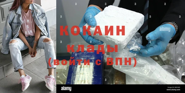 гидропоника Новозыбков