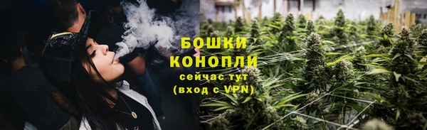 гидропоника Новозыбков