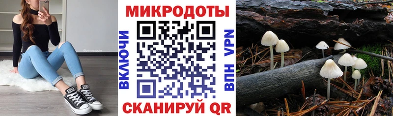 Галлюциногенные грибы Cubensis  блэк спрут рабочий сайт  Покров  купить наркотики цена 